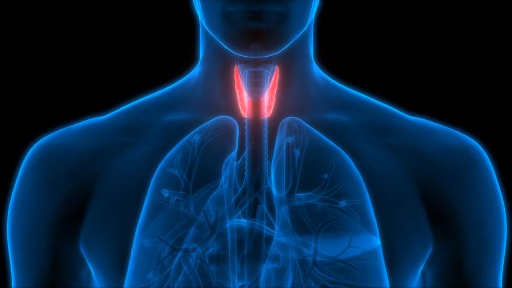 Thyroid diseases (hyperthyroidism or hypothyroidism)